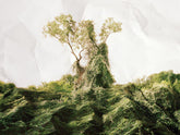 “The Vine who ate the South” But did it?