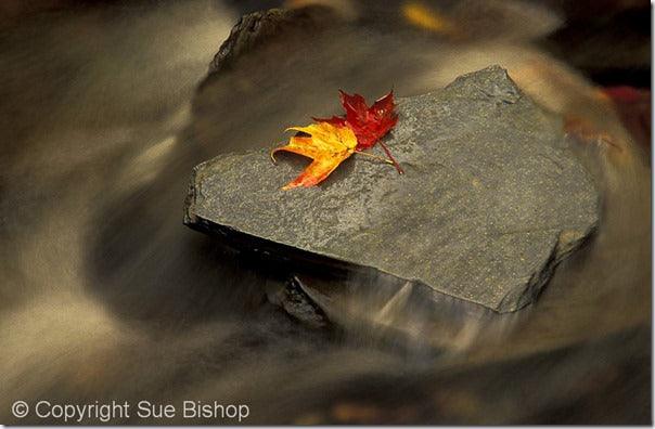 6 Landscape Photography Essentials