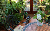 MyGardenSchool's Guide to Heating Your Greenhouse