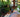 MyGardenSchool's Guide to Heating Your Greenhouse