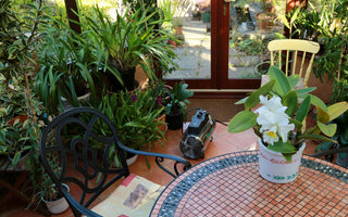 MyGardenSchool's Guide to Heating Your Greenhouse
