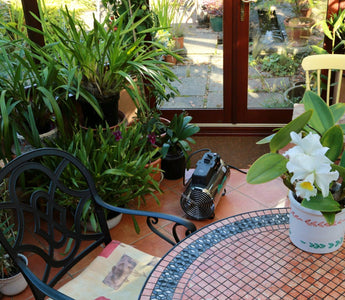 MyGardenSchool's Guide to Heating Your Greenhouse