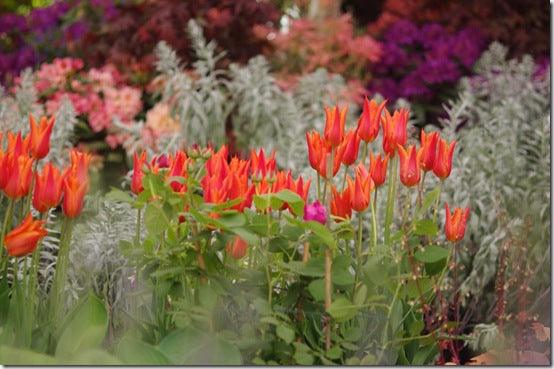 Visiting RHS Chelsea Flower Show &ndash; how to enjoy your day