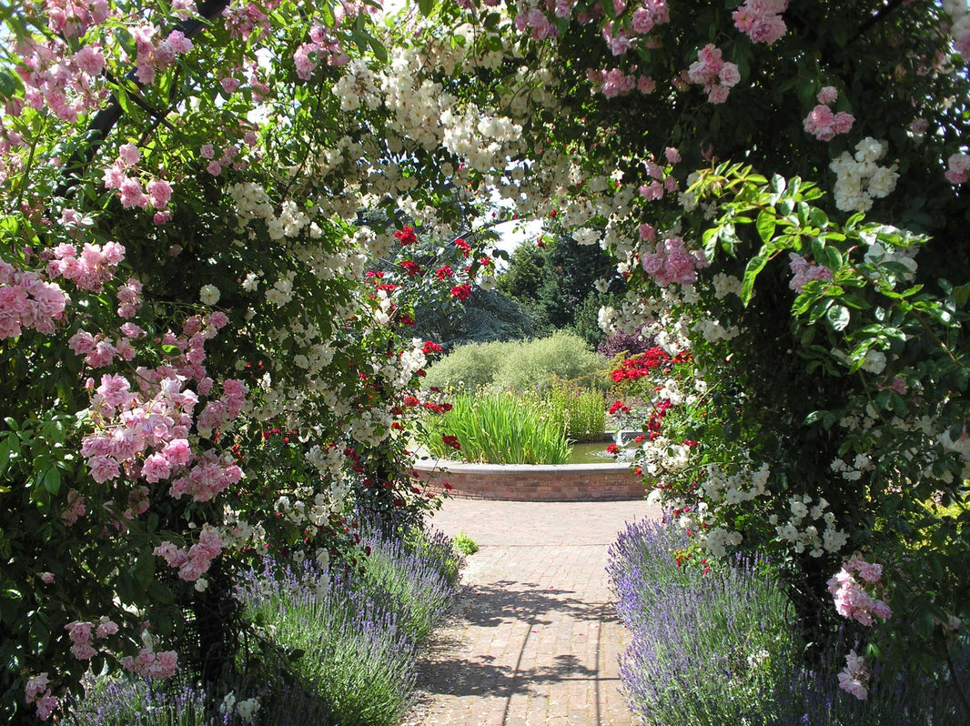 10 Things To Consider When Planning A Pergola