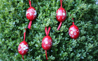 Flora of Budapest; Spring along the Danube