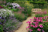 How to Design Garden Paths