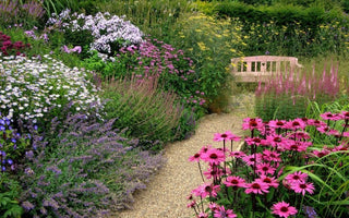 How to Design Garden Paths