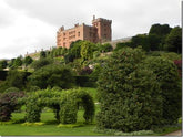 Gardens to Visit:  Powis Castle - famous for topiary and exotic plants