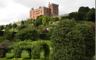 Gardens to Visit:  Powis Castle - famous for topiary and exotic plants
