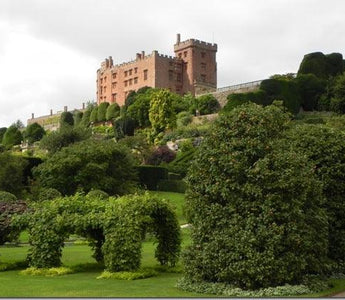 Gardens to Visit:  Powis Castle - famous for topiary and exotic plants