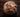 Celeriac… Don’t judge a book by its cover