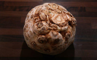 Celeriac… Don’t judge a book by its cover