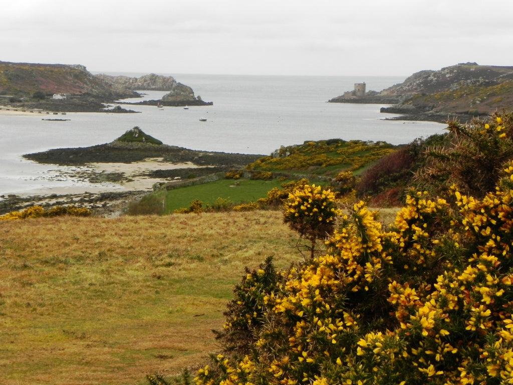 Andy's Adventures in Gardening; A Trip to Tresco