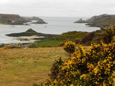 Andy's Adventures in Gardening; A Trip to Tresco