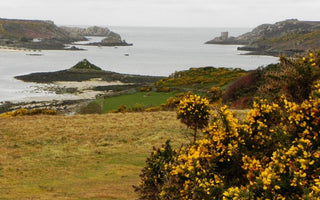 Andy's Adventures in Gardening; A Trip to Tresco