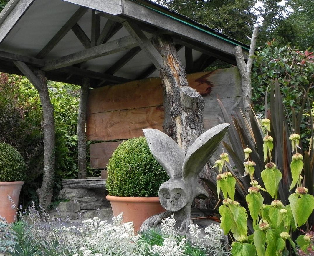 A Plantsman’s Paradise – Dingle Nurseries
