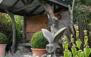 A Plantsman’s Paradise – Dingle Nurseries