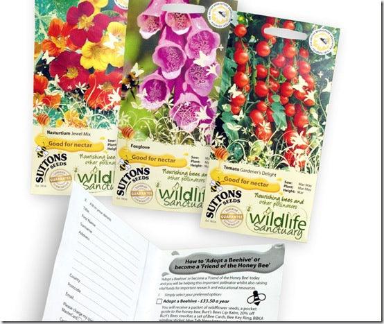 Make your garden a Wildlife Sanctuary &ndash; Easy to grow plants for pollinators