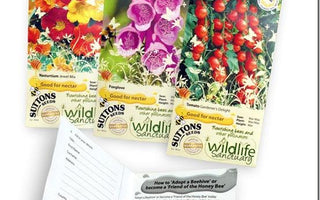 Make your garden a Wildlife Sanctuary &ndash; Easy to grow plants for pollinators