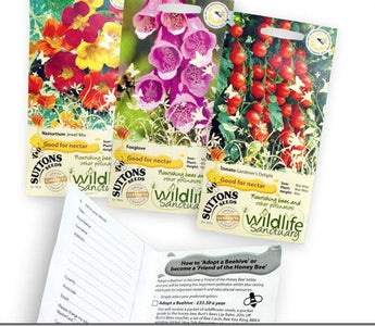 Make your garden a Wildlife Sanctuary &ndash; Easy to grow plants for pollinators
