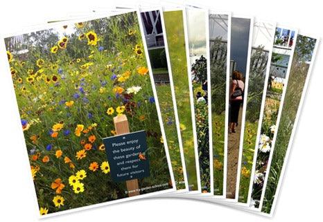 Olympic Park Planting London 2012