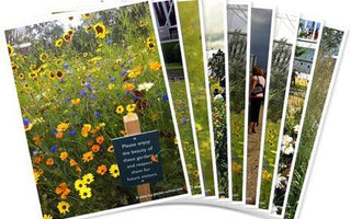 Olympic Park Planting London 2012