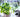 How To Look After Supermarket Herbs