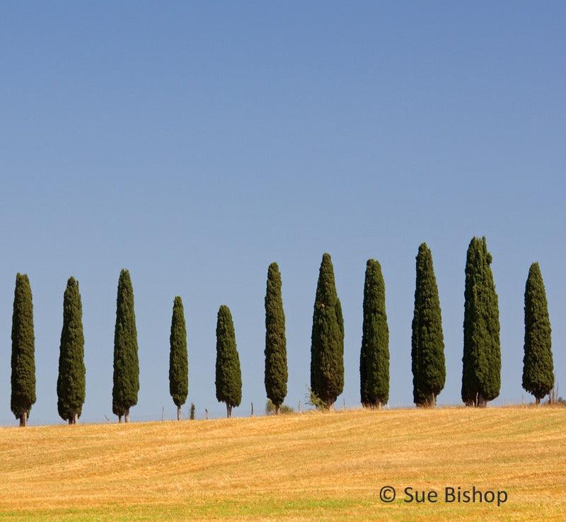 Minimalism in Landscape Photography