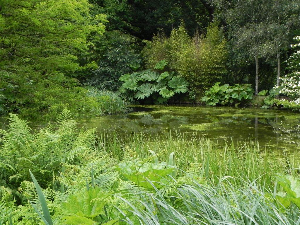 Hardy Exotic Plants For a Harsher Climate