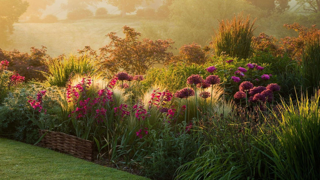 Embrace the Outdoors: Captivating Courses for a Season of Discovery