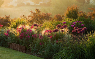 Embrace the Outdoors: Captivating Courses for a Season of Discovery