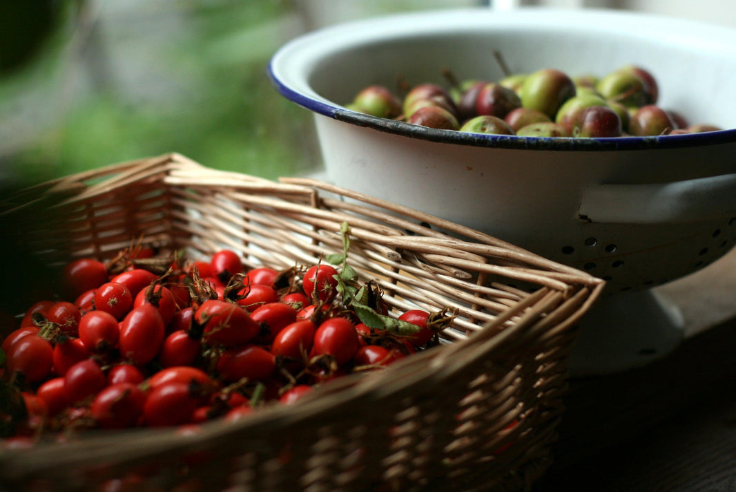 Rediscover the nutritional properties of wild plants with Miles Irving, forager for the world’s top chefs.