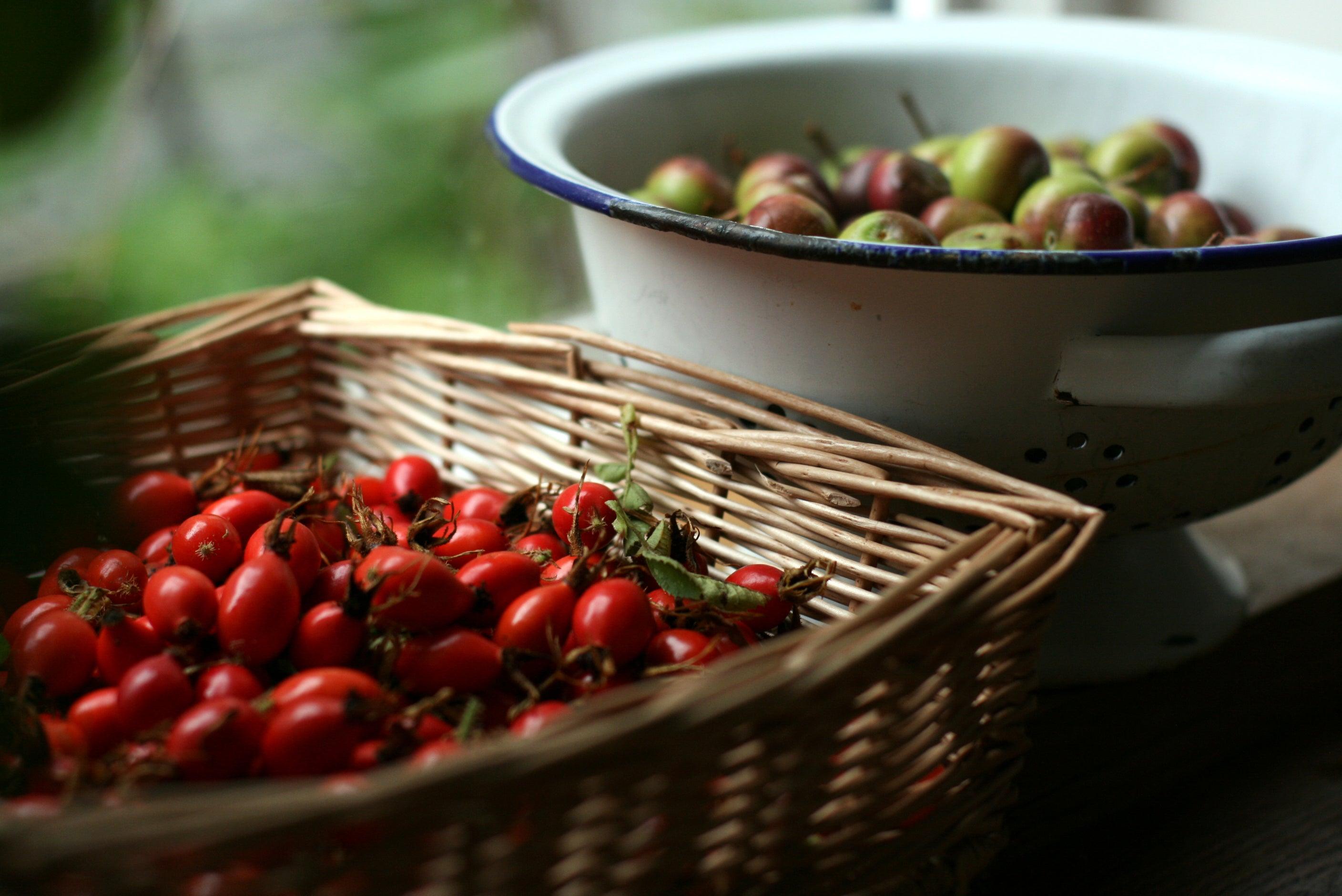 Rediscover the nutritional properties of wild plants with Miles Irving, forager for the world’s top chefs.