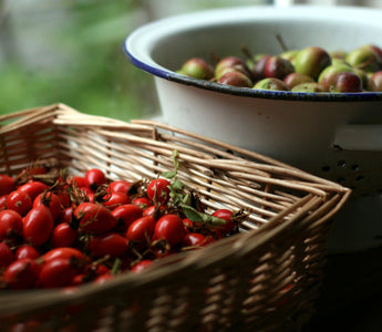 Rediscover the nutritional properties of wild plants with Miles Irving, forager for the world’s top chefs.