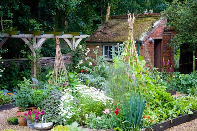 Get growing your own vegetables