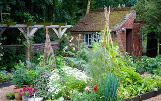 Get growing your own vegetables