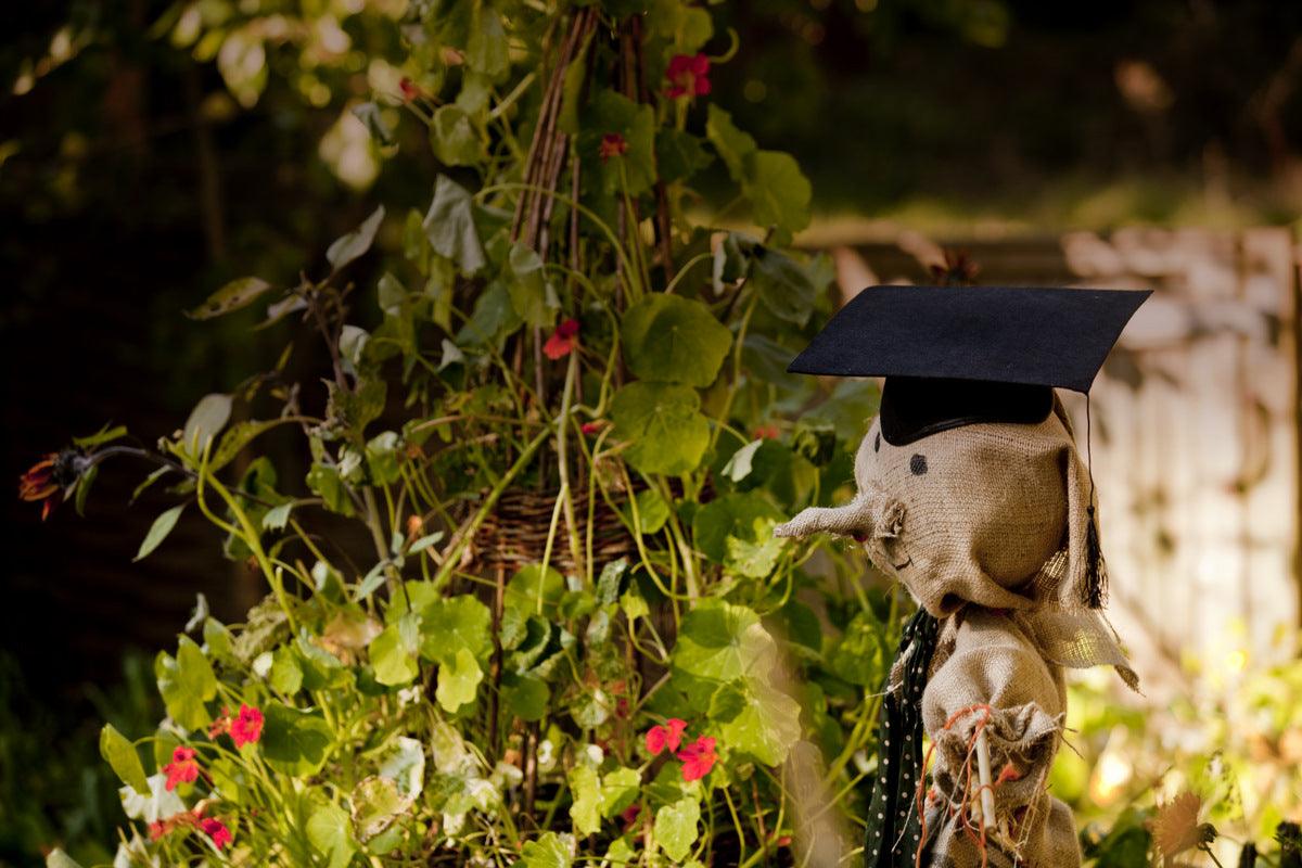 How to Find The Best Gardening Course Near You