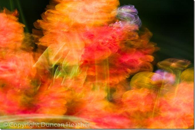 One Photo: 5 Exposures