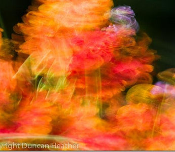 One Photo: 5 Exposures