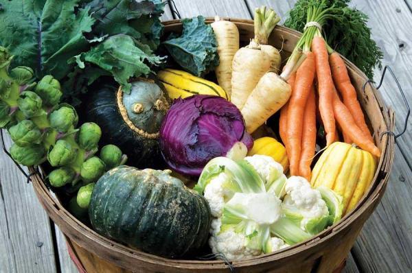 6 Fall Veggies To Plant Now