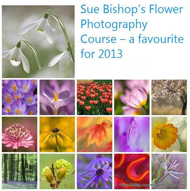 Andy's Adventures in gardening : Planning for the New Year ...