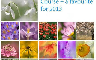 Andy's Adventures in gardening : Planning for the New Year ...