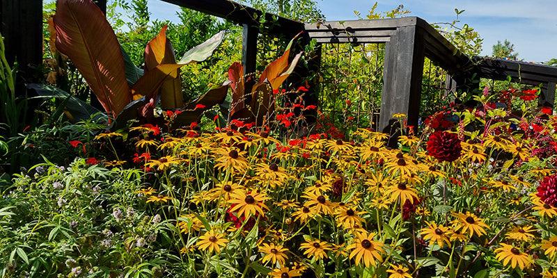 The countdown to RHS Chelsea Flower Show begins