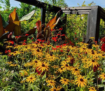The countdown to RHS Chelsea Flower Show begins