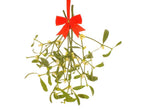 Mistletoe Magic: growing mistletoe, kissing under the mistletoe, decorating with mistletoe.