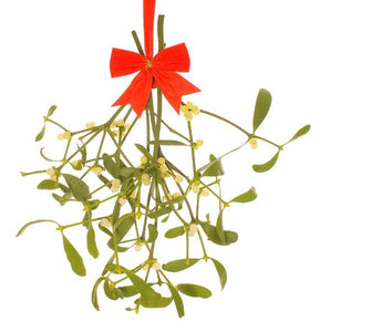 Mistletoe Magic: growing mistletoe, kissing under the mistletoe, decorating with mistletoe.