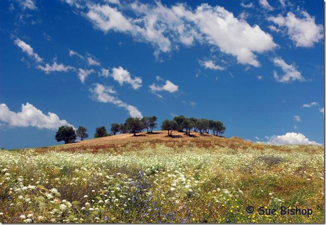 Making Your Photographs Sing!