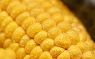 Sweetcorn