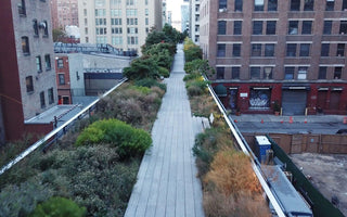 High Line Parks of the World