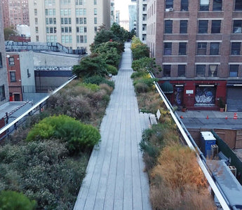 High Line Parks of the World